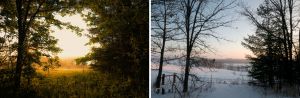 Oculus-Seasons.jpg