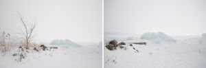 Lake-Bemidji-fogtyp.jpg
