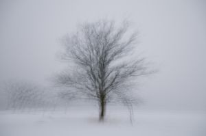 walkinwinter.jpg